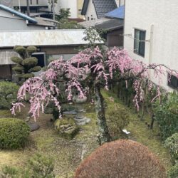 在宅ワークの部屋～窓からの眺め