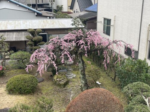 在宅ワークの部屋~窓からの眺め